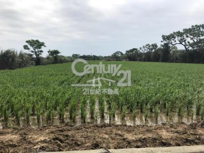 崁頭段, Xinfeng Township, Hsinchu County 304, 대만