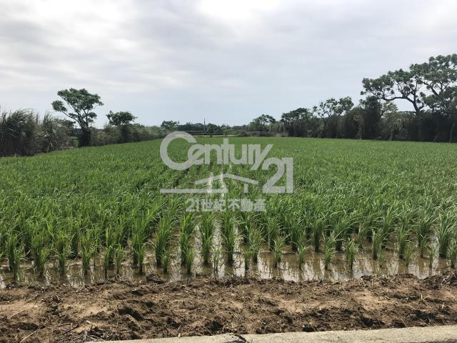 崁頭段, 新豐鄉, 新竹縣 304, 台灣