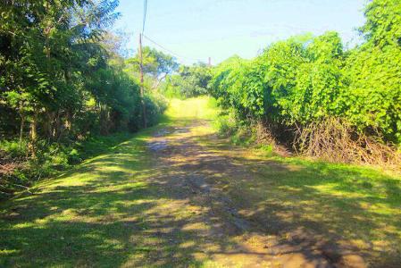 Levera Beach Development Lot, Levera, St.patrick's West Indies, Grenada