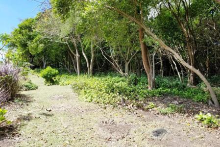 Westerhall Point - Lot No. 48, Westerhall Point, St.david's West Indies, Grenada