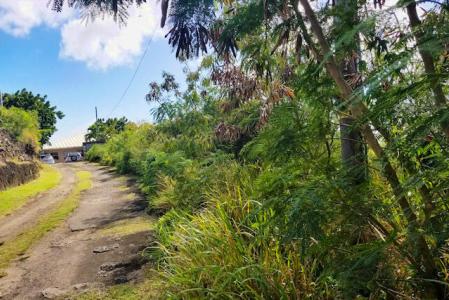 Holiday Development Ltd. (Phase 2) Lot 5-A, Grand Anse, St.george's West Indies, Grenada