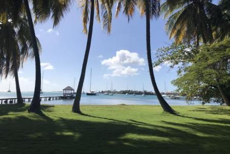Los Cocos: Garden by The Sea, Lance Aux Epines, St.george's West Indies, Grenada