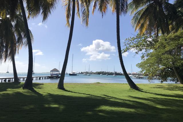 Los Cocos: Garden by The Sea, Lance Aux Epines, St.george's West Indies, Grenada