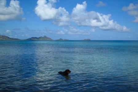 Prospect Estate - Waterfront Reserve Estate, Carriacou West Indies, Grenada