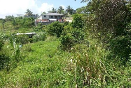 LE MOULE Methivier, Sainte-Marguerite-La Houssaie, Le Moule 97160, Gwadelupa