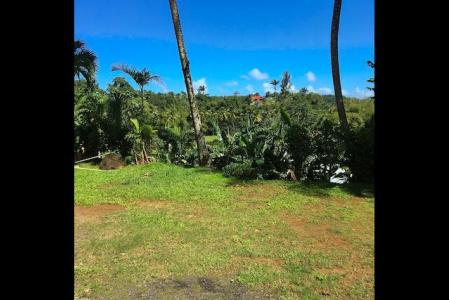PETIT-BOURG - HAUTEUR LEZARDE, Vernou-Lezarde, Petit-bourg 97170, Guadeloupe