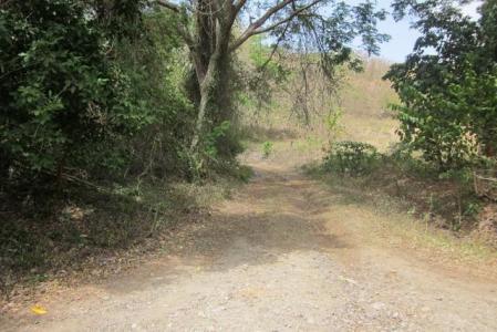 La Tante Land, Saint David's, St.david's West Indies, גרנדה 