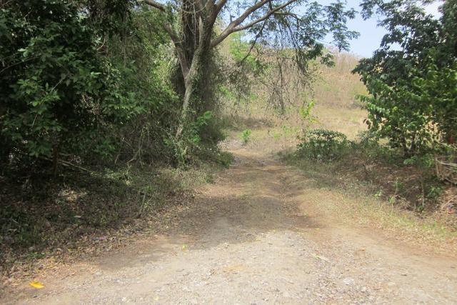 La Tante Land, Saint David's, St.david's West Indies, 格林纳达