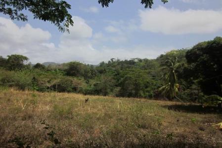 La Tante Land, Saint David's, St.david's West Indies, 格林纳达