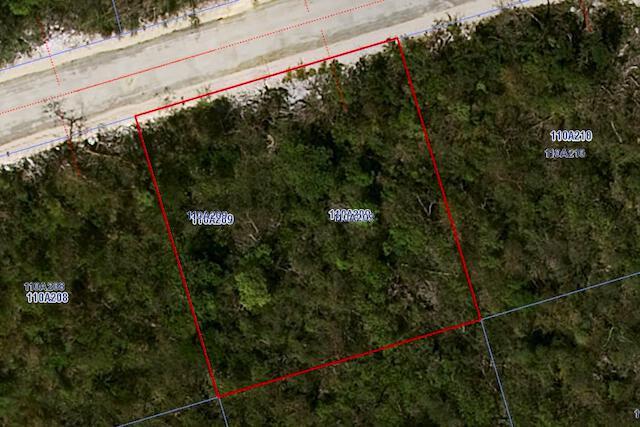 Booby Bird Drive, Cayman Brac Land on the Bluff .2460, Cayman Brac, 开曼群岛