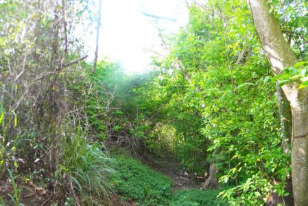 Westerhall Point - Lot No. 74, Westerhall Point, St.david's West Indies, Grenada