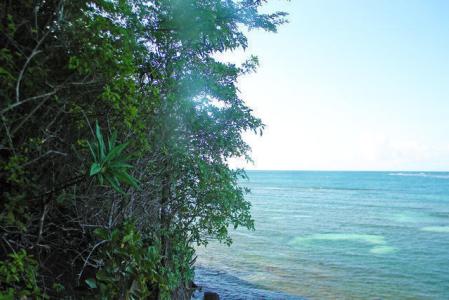 Westerhall Point - Lot No. 74, Westerhall Point, St.david's West Indies, Grenada