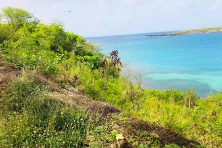 Egmont - Lot No. 335, Egmont, St.george's West Indies, Grenada