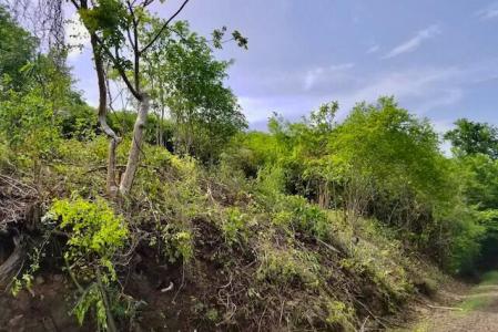 Fort Jeudy - Lot No. 88, Fort Jeudy, St.george's West Indies, Grenada