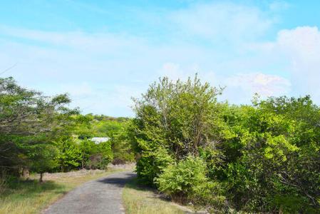 Point Salines Lot, Point Salines, St.george's West Indies, Grenada