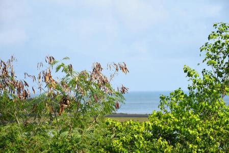 Point Salines Lot, Point Salines, St.george's West Indies, Grenada