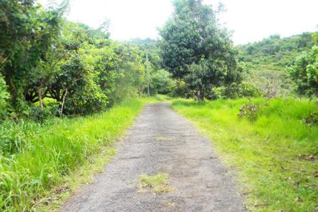 Mt. Agnes Lot, Saint David's, St.david's West Indies, Grenada
