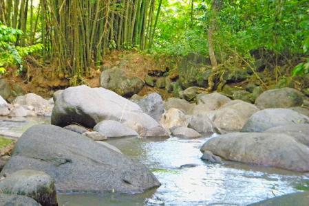 La Pastora Estate Lot, Saint David's, St.david's West Indies, Grenada