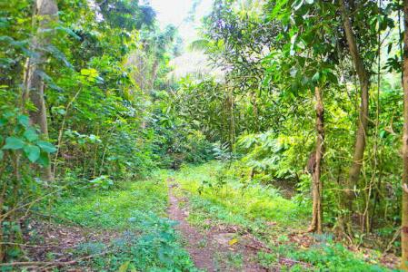 La Pastora Estate Lot, Saint David's, St.david's West Indies, גרנדה 