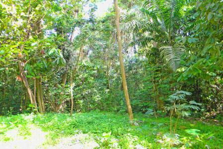 La Pastora Estate Lot, Saint David's, St.david's West Indies, גרנדה 