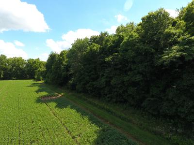 1501 1200 N, Greenup, إلينوي 62428, الولايات المتحدة