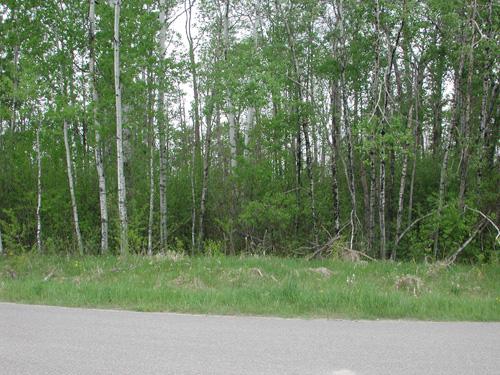 Lt 1 Blk 3 Aspen Dr, Deer River, Minnesota 56636, Estados Unidos