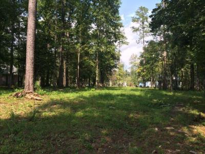 4551 Moss Bend, New Bern, Carolina Do Norte 28562, Estados Unidos