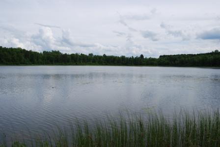 TBD County Road 51, Bovey, Minnesota 55709, USA