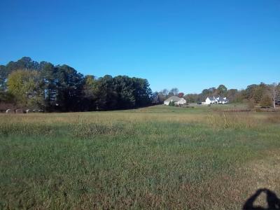 0 N Wallace Rd, Springfield, Теннесси 37172, Соединенные Штаты