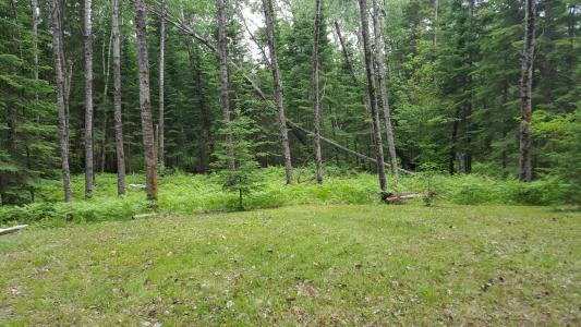 XXX 490th Street, McGregor, Minnesota 55760, Stati Uniti