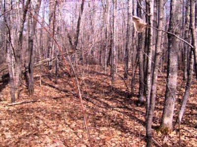 TBD 183rd Ave, McGregor, Minnesota 55760, Stati Uniti