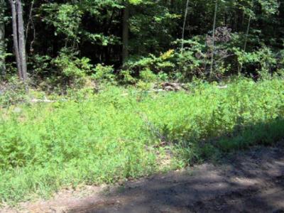 TBD 183rd Avenue, McGregor, Minnesota 55760, Stati Uniti