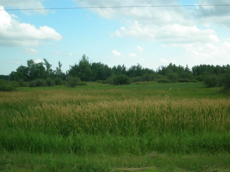 XXXX 90th St, Sauk Rapids, Minnesota 56379, Estados Unidos