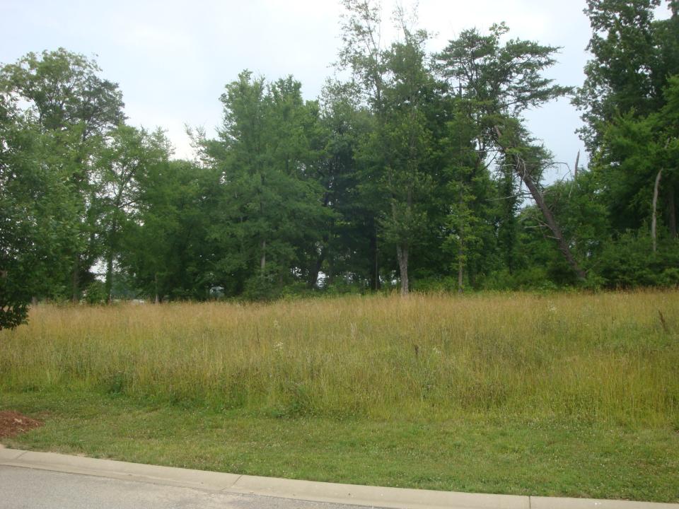 Lot 76 Heritage Hill Pkwy, Shepherdsville, Kentucky 40165, Estados Unidos