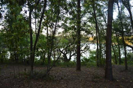 8399 Lily Lake Rd, Melrose, 佛罗里达州 32666, 美国