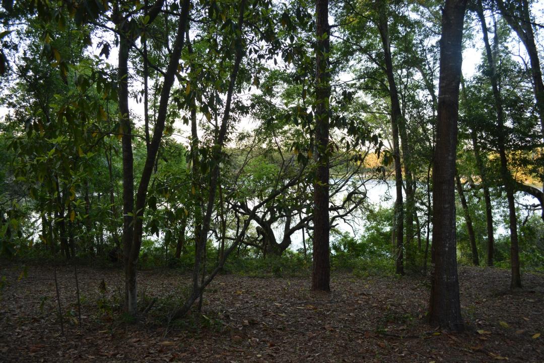 8399 Lily Lake Rd, Melrose, Florida 32666