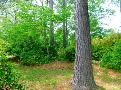 Lot 65 Cricklewood Street, Lumberton, North Carolina 28358, HOA KỲ