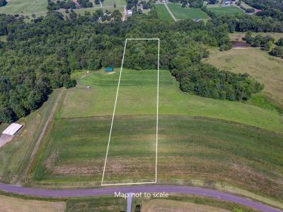 Lot II Lindsey Road, Reidsville, Carolina Do Norte 27320, Estados Unidos