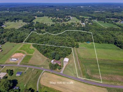 Lot III Lindsey Road, Reidsville, Carolina Do Norte 27320, Estados Unidos