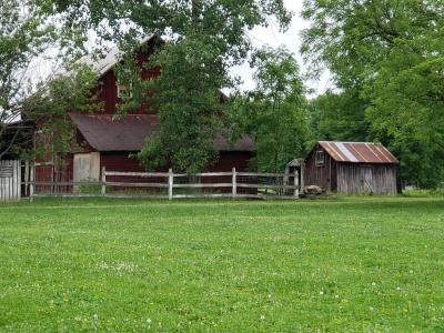 Cline St, Norwalk, Ohio 44857