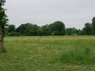 Cline St, Norwalk, Ohio 44857