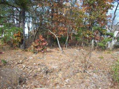 117 Kirk Ln, Pine Hill, New Jersey 08021, Amerika Birleşik Devletleri