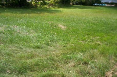 10-11 Pennsylvania Ave, Weirton, WV 26062, USA