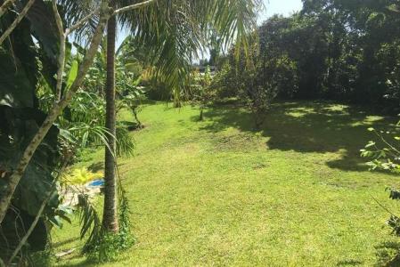 Lieudit Moreau, GOYAVE - Moreau, SARCELLE-MOREAU-CHRISTOPHE, Goyave, Guadeloupe