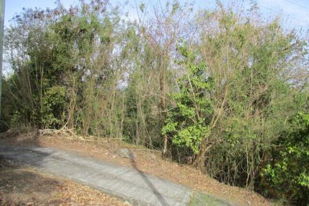 Levera Bedford Point - Lot No. 16, Levera, St.patrick's West Indies, Grenada