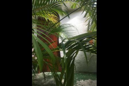 GOSIER - Dunoyer, Dampierre-Saline-Pliane-Dunoyer, Le Gosier 97190, Guadalupa