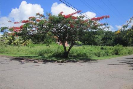 True Blue Lot No. 24, True Blue, St.george's West Indies, Grenada