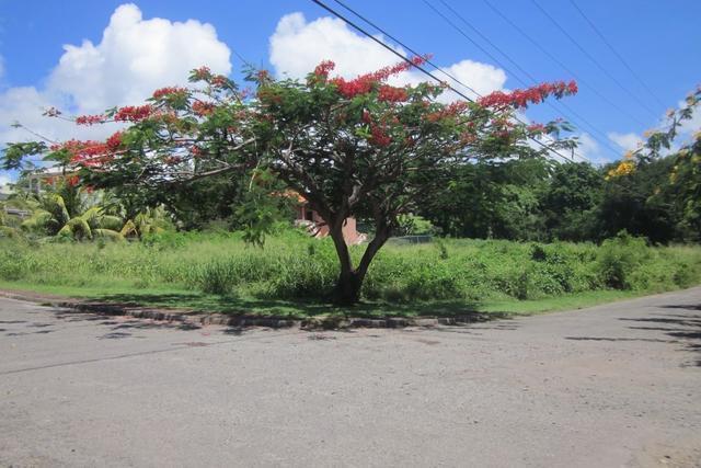 True Blue Lot No. 24, True Blue, St.george's West Indies, Granada