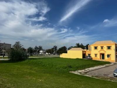 Faro, Faro 8005-328, Portugal