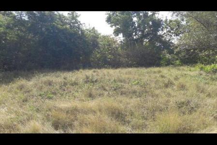 lieudit Bernard, GOSIER - Mare Gailllard 14 061 m², Mare Gaillard-Petit Havre, Le Gosier 97190, Guadeloupe